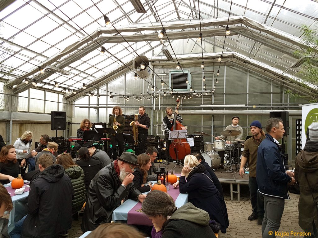 Jazzband, Slottsträdgården, Malmö och ölfestival i växthuset