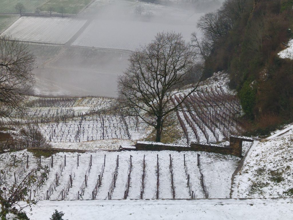 Vinfälten i Jura under vintertiden