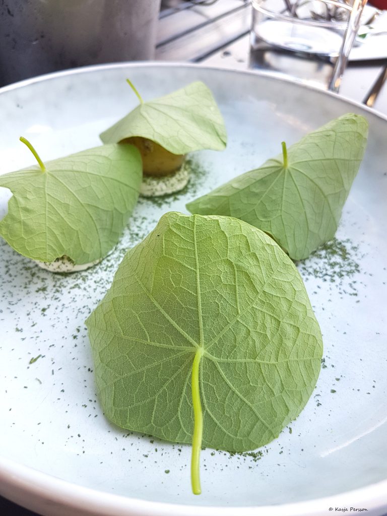 Nya Solistpotatis på en pepparrots crème med picklade senapsfrön och blad från Krasse på Retaurang Lyran.