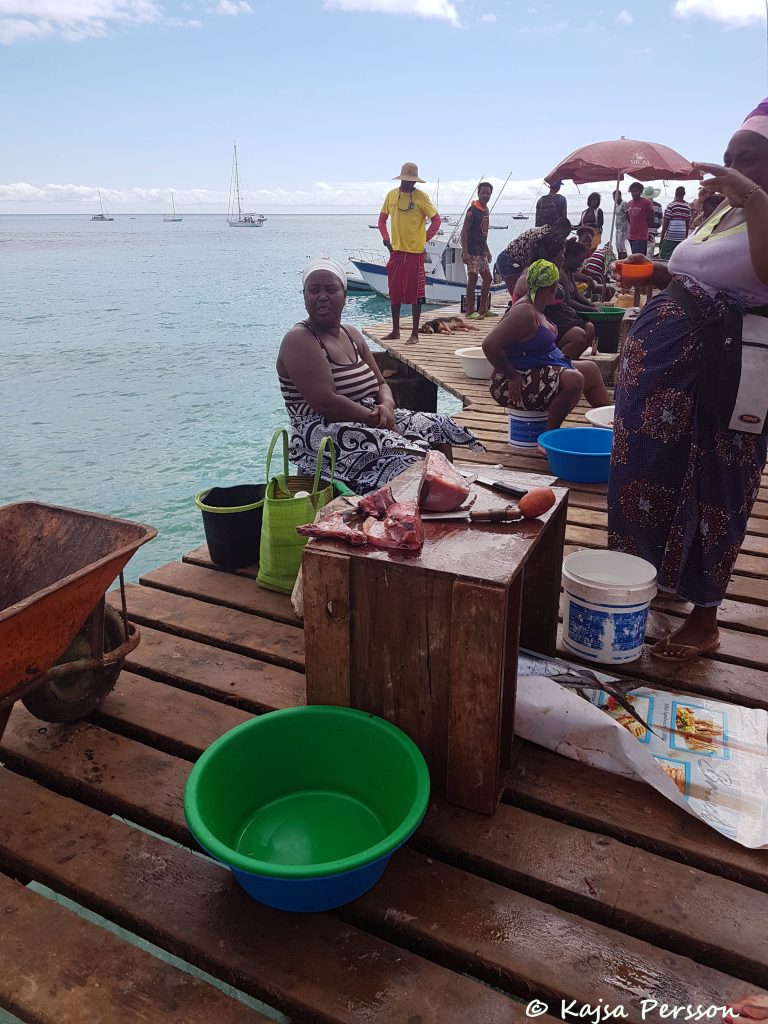Tonfisk till salu på piren i Santa Maria, Kap Verde