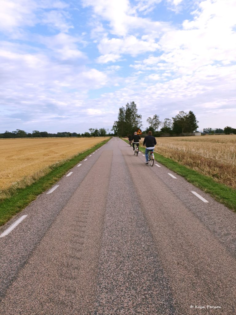 cyklister på en landsväg på väg till Hörte Brygga